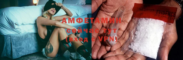 прущие грибы Осинники