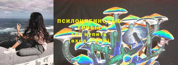 ПСИЛОЦИБИНОВЫЕ ГРИБЫ Осташков