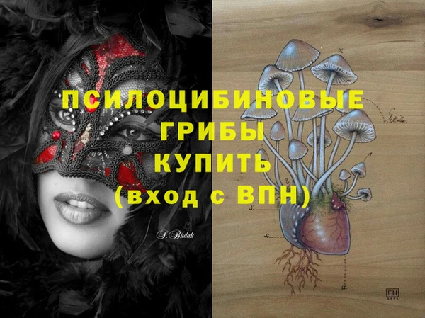 прущие грибы Осинники