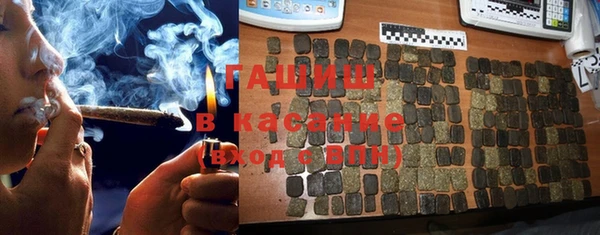 прущие грибы Осинники