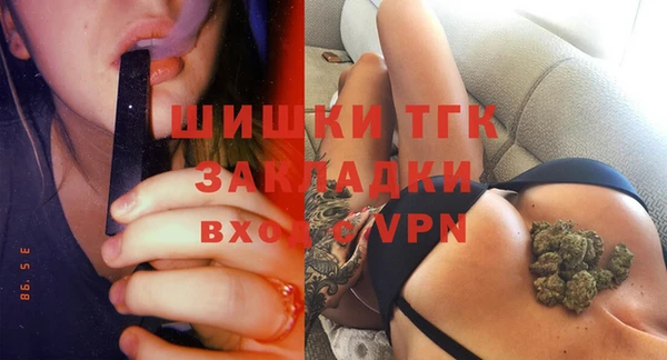 прущие грибы Осинники